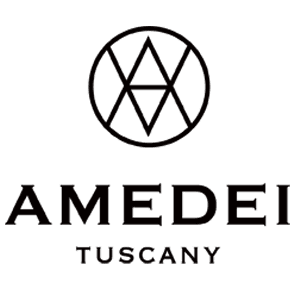 Amedei300 Logo