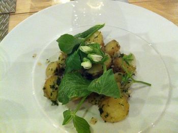 IMG_1526 IMG_1526